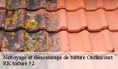 Le travail de démoussage des toits à Oudincourt dans le 52310