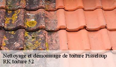 RK toiture 52 et les démoussages des toits à Pisseloup dans le 52500 et ses environs