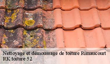 RK toiture 52 : le professionnel du nettoyage régulier des toits