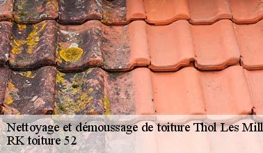 RK toiture 52 et des compétences pour réaliser les travaux de nettoyage des toits à Thol Les Millieres dans le 52240