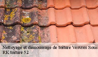 Que faut-il savoir sur les travaux de nettoyage des toits des maisons à Vesvres Sous Chalancey dans le 52190 et les localités avoisinantes?
