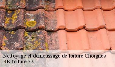 Les travaux de nettoyage des toits à Choignes dans le 52000