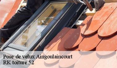 RK toiture 52 : un artisan qui peut mettre en place les fenêtres de toit à Aingoulaincourt dans le 52230