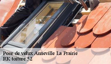 L'installation pour les fenêtres de toit à Anneville La Prairie dans le 52310