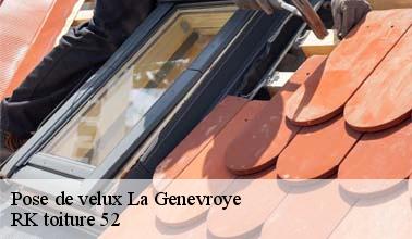 La pose pour les fenêtres de toit à La Genevroye dans le 52320