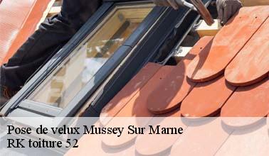 Que faut-il savoir sur les travaux d'installation des fenêtres de toit à Mussey Sur Marne dans le 52300?
