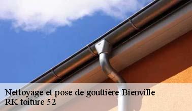 RK toiture 52 : la personne qui a les compétences nécessaires pour effectuer les travaux de nettoyage des gouttières à Bienville dans le 52410