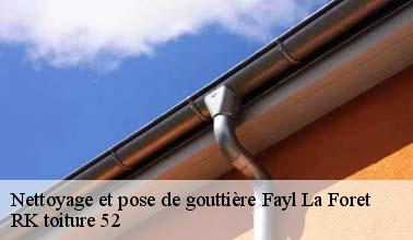 Les travaux de nettoyage des gouttières à Fayl La Foret dans le 52500 et les localités avoisinantes