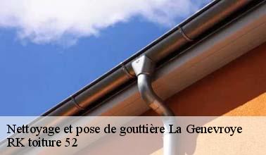 Qui peut effectuer les travaux d'installation des gouttières à La Genevroye dans le 52320 ?