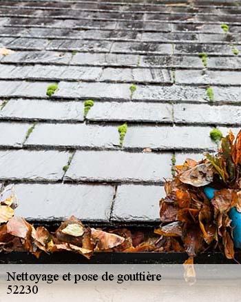 Les travaux d'installation des gouttières à Montreuil Sur Thonnance et ses environs