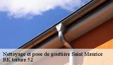 Que faut-il savoir sur les travaux de nettoyage des gouttières à Saint Maurice dans le 52200 et ses environs?