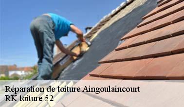 La réparation des toits : un des domaines de compétences de RK toiture 52 à Aingoulaincourt dans le 52230