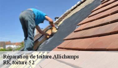 La réparation des toits : une spécialité de RK toiture 52 à Allichamps dans le 52130