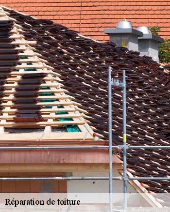 La réparation de toit : un travail à confier à RK toiture 52 à Andilly En Bassigny dans le 52360