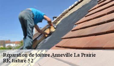 La réparation des toits : une spécialité de RK toiture 52 à Anneville La Prairie dans le 52310