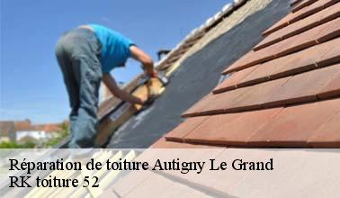 Toutes les informations à savoir sur les travaux de réparation au niveau de la toiture d'un immeuble à Autigny Le Grand dans le 52300
