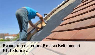 Ce qu'il faut savoir sur les travaux de réparation des toits des maisons à Roches Bettaincourt dans le 52270
