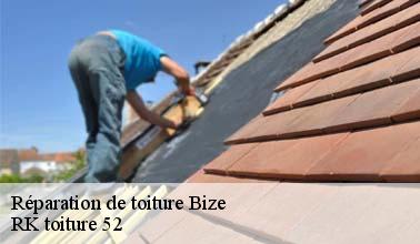 RK toiture 52 : l'expert qui peut effectuer les travaux de réparation des toits à Bize dans le 52500