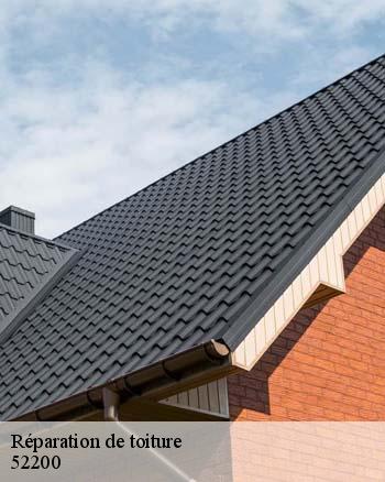 RK toiture 52 : le professionnel de la réparation de la toiture d'un immeuble à Brennes dans le 52200
