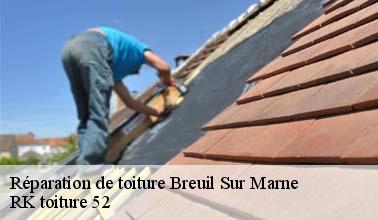 RK toiture 52 : l'expert qui peut effectuer les travaux de réparation des toits à Breuil Sur Marne dans le 52170