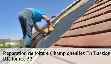 Ce qu'il faut savoir sur les travaux de réparation des toits des maisons à Champigneulles En Bassign dans le 52150