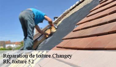 Les compétences de RK toiture 52 pour réaliser les travaux de réparation de la toiture d'un immeuble à Changey dans le 52360