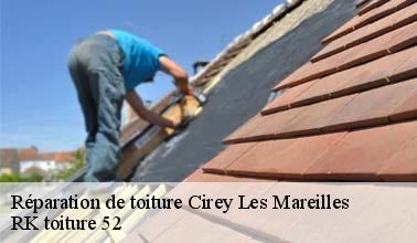 Qui peut effectuer les travaux de réparation des toits des maisons à Cirey Les Mareilles dans le 52700 ?