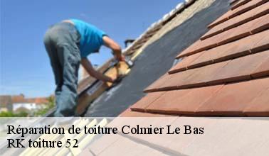 La réparation des toits : un des domaines de compétences de RK toiture 52 à Colmier Le Bas dans le 52160