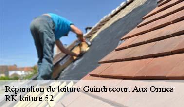 Les compétences de RK toiture 52 pour réaliser les travaux de réparation de la toiture d'un immeuble à Guindrecourt Aux Ormes dans le 52300