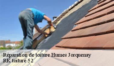 La réparation de la toiture par RK toiture 52 à Humes Jorquenay dans le 52200