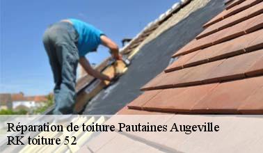RK toiture 52 : le professionnel de la réparation de la toiture d'un immeuble à Pautaines Augeville dans le 52270