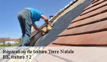 La réparation de la toiture par RK toiture 52 à Terre Natale dans le 52400