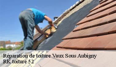 Les informations pratiques à savoir sur la réparation des toits des maisons à Vaux Sous Aubigny dans le 52190
