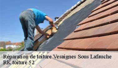 Les compétences de RK toiture 52 pour réaliser les travaux de réparation de la toiture d'un immeuble à Vesaignes Sous Lafauche dans le 52700