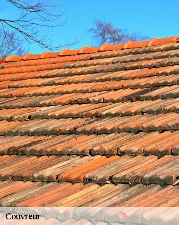 Les travaux de nettoyage des toits à Arbigny Sous Varennes dans le 52500 et ses environs