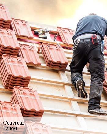 Les travaux de nettoyage des toits à Bannes dans le 52360 et ses environs