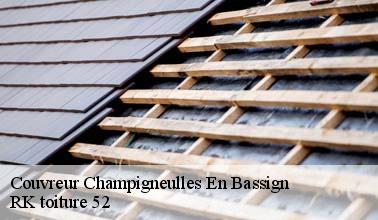 Qui prend en main les travaux de rénovation pour les toits à Champigneulles En Bassign dans le 52150 ?