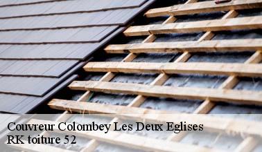 Les travaux de nettoyage des toits à Colombey Les Deux Eglises dans le 52330 et ses environs