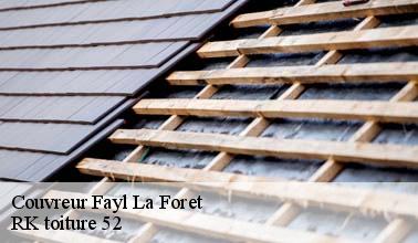 La réparation pour le toit à Fayl billot dans le 52500