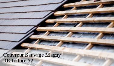 Ce qu'il faut savoir sur les travaux de rénovation des toits des immeubles à Sauvage Magny dans le 52220