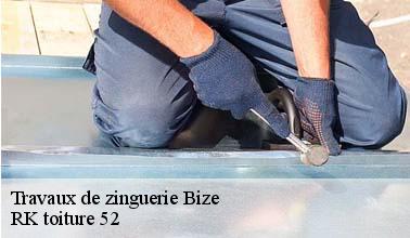 Qui peut prendre en main les travaux de réparation des gouttières à Bize dans le 52500 ?