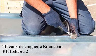 RK toiture 52 : l'expert qui peut effectuer les travaux de réparation des velux à Briaucourt et les localités avoisinantes