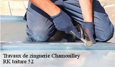 Qui peut prendre en main les travaux de réparation des gouttières à Chamouilley dans le 52410 ?