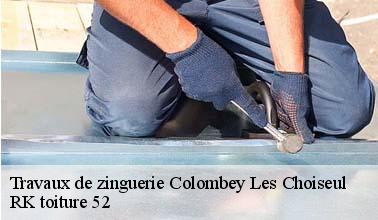 L'installation de gouttières sur le toit d'un immeuble à Colombey Les Choiseul dans le 52240