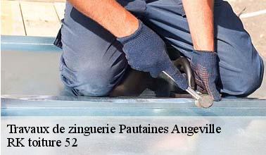 L'installation de gouttières sur le toit d'un immeuble à Pautaines Augeville dans le 52270