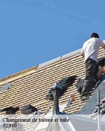 Que faut-il savoir sur les travaux de changement des toits des maisons à Ageville dans le 52340 ?