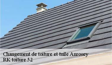 Les travaux de changement des tuiles à Anrosey dans le 52500