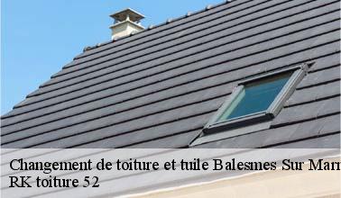 Les travaux de changement des tuiles à Balesmes Sur Marne dans le 52200