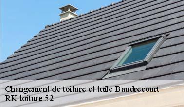 Les travaux de changement des tuiles à Baudrecourt dans le 52110