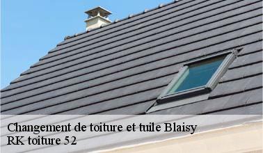 À qui peut-on confier les travaux de changement des tuiles à Blaisy dans le 52330 et les localités avoisinantes?